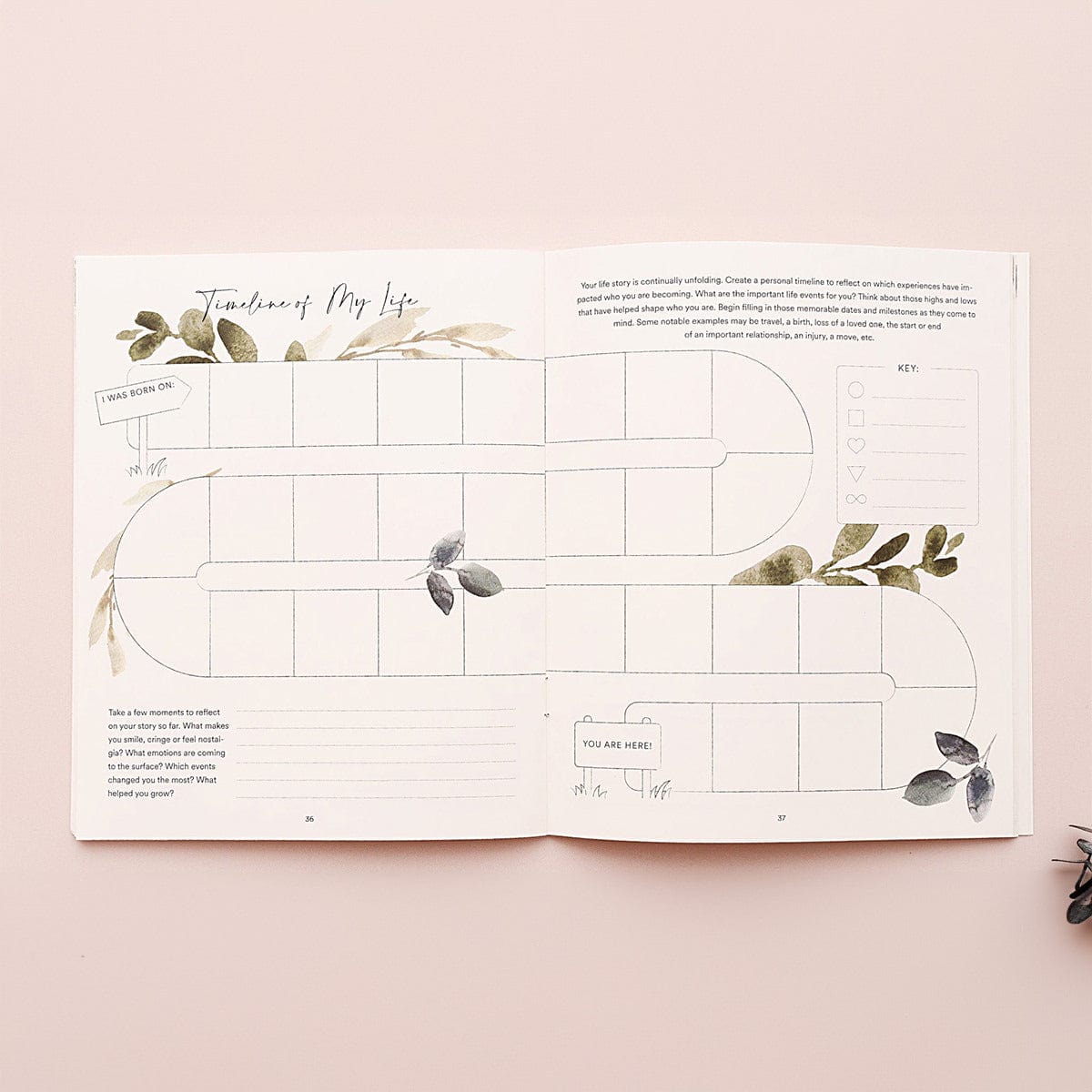 Silk + Sonder Life Workbook