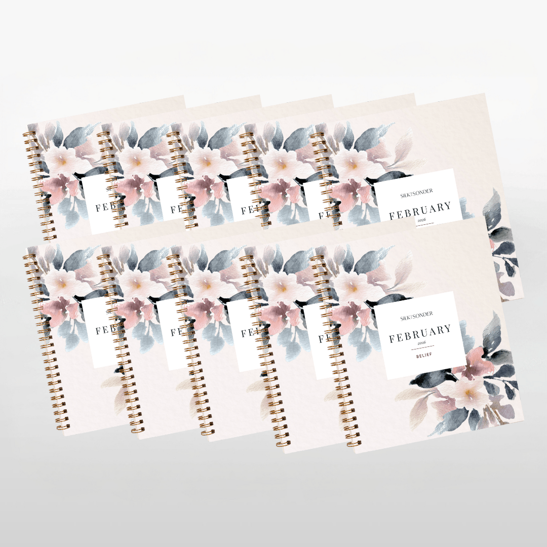 Silk + Sonder Monthly Self-Care Journals : 10-Pack