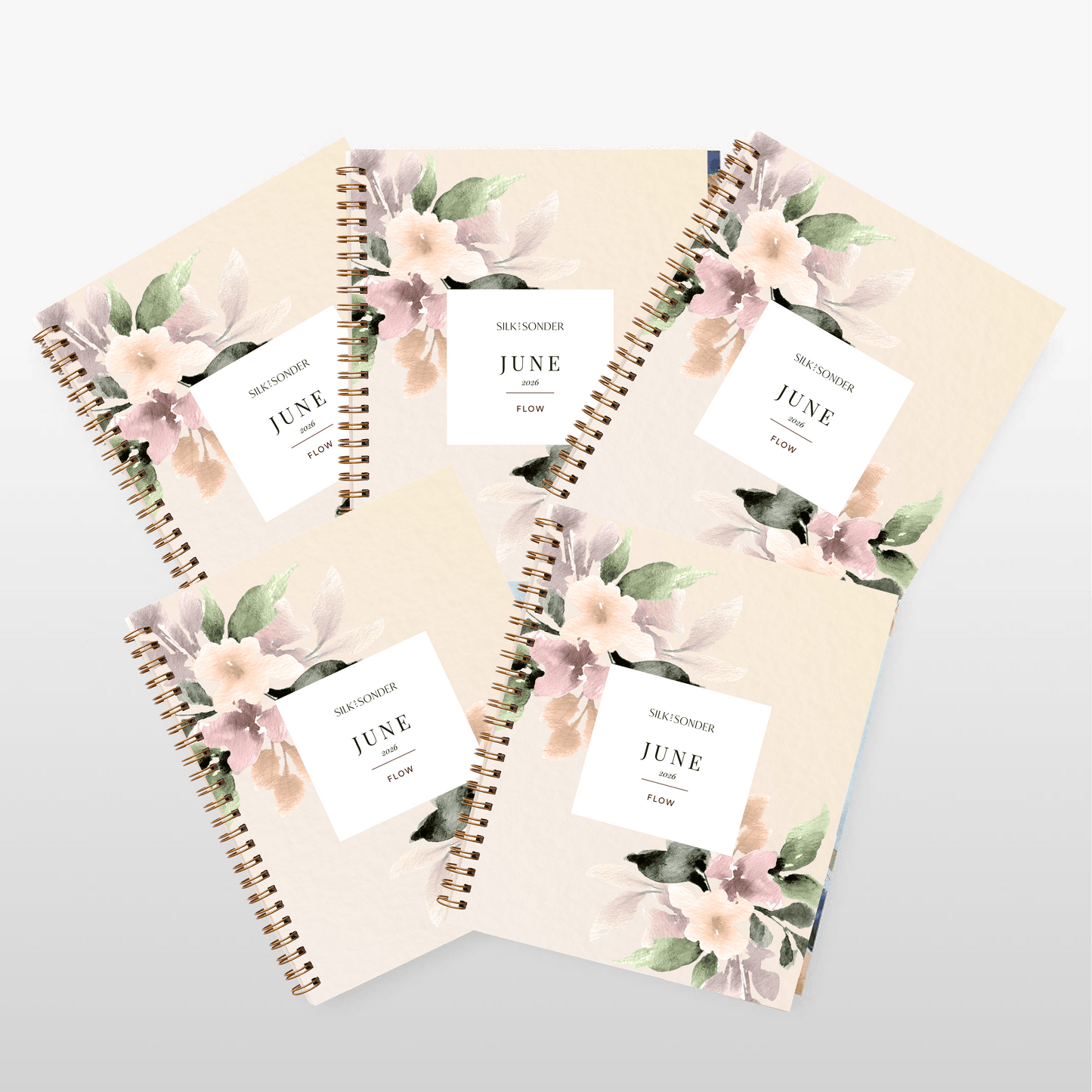 Silk + Sonder Monthly Self-Care Journals : 5-Pack