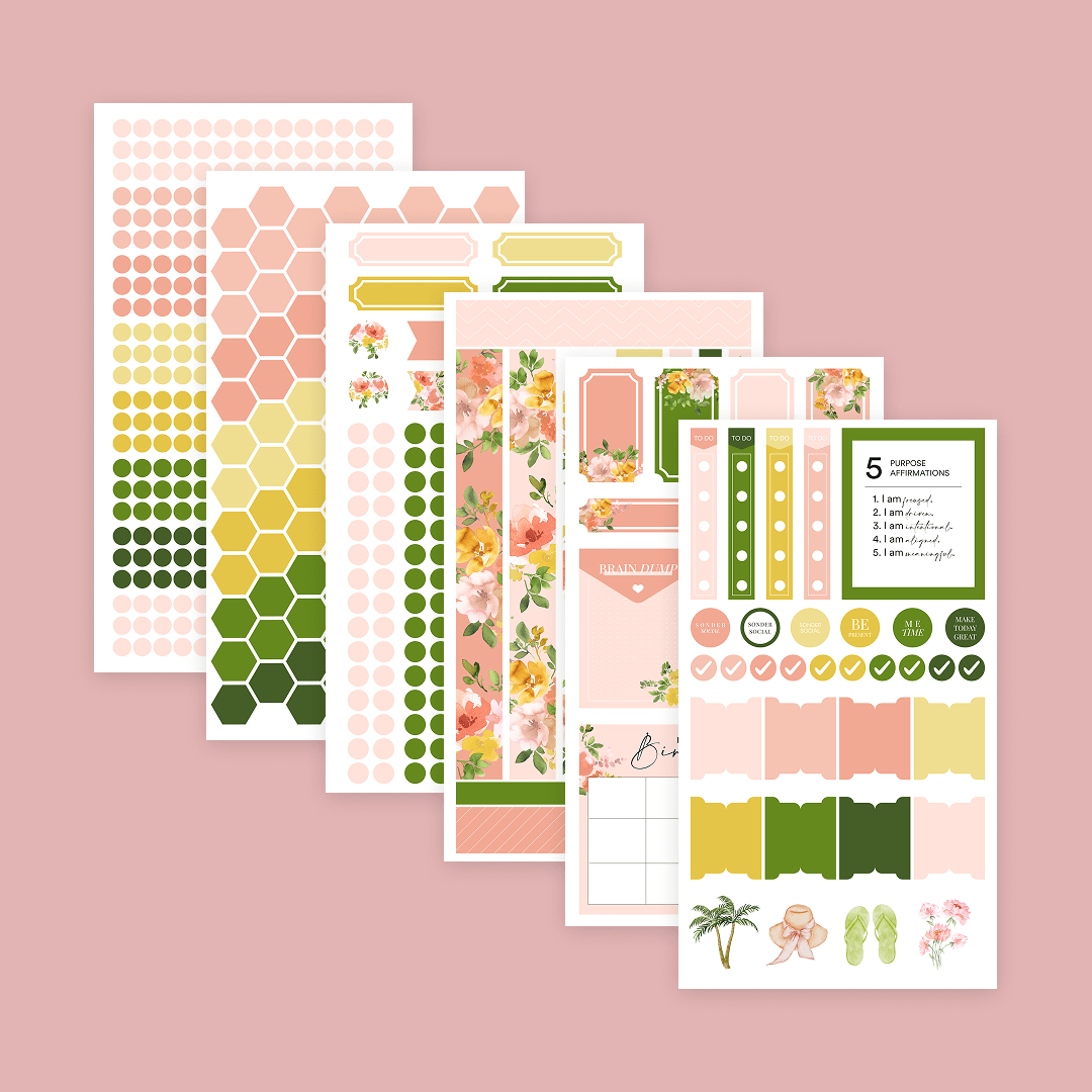Silk + Sonder Monthly Sticker Pack