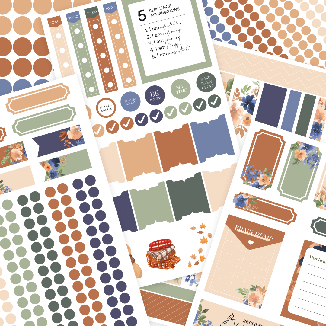Silk + Sonder Monthly Sticker Pack