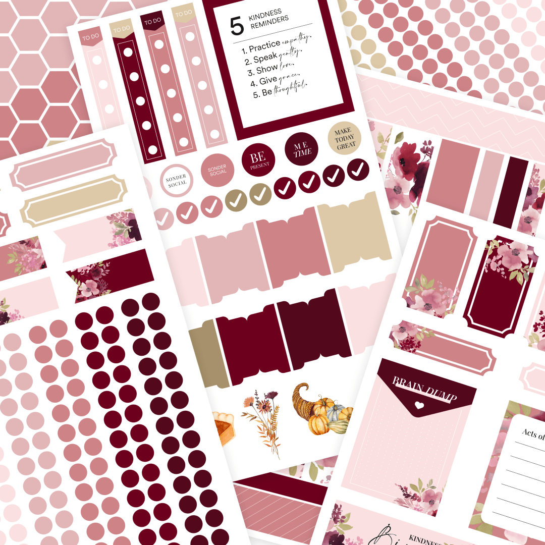 Silk + Sonder Monthly Sticker Pack