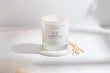 Silk + Sonder Wild Ambitions Candle