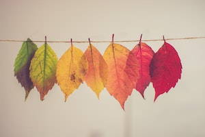 11 Fall Self-Care Ideas for a Restorative, Joyful Season