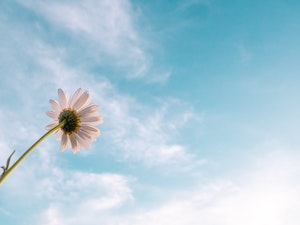 September's Theme Is 'Flourish'—Here's What That Means + Ideas to Help You Grow
