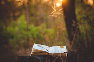 What Is Nature Journaling?