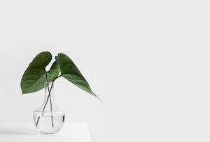 Is Minimalism Ever a Bad Thing? Here's How to Think About It
