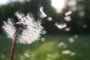 9 Signs That You're About To Get Whatever You've Been Manifesting