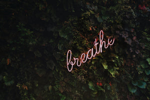 37 of the Most Famous Quotes about Journaling