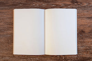 8 Things to Write In Your Journal