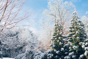 Winter Is Coming—Here's a Self-Care List That Will Get You Through (and Help You Thrive!)