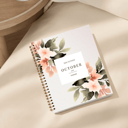 3-Month Plan
