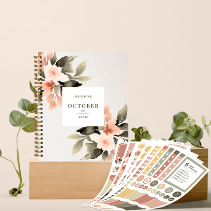 3-Month Plan