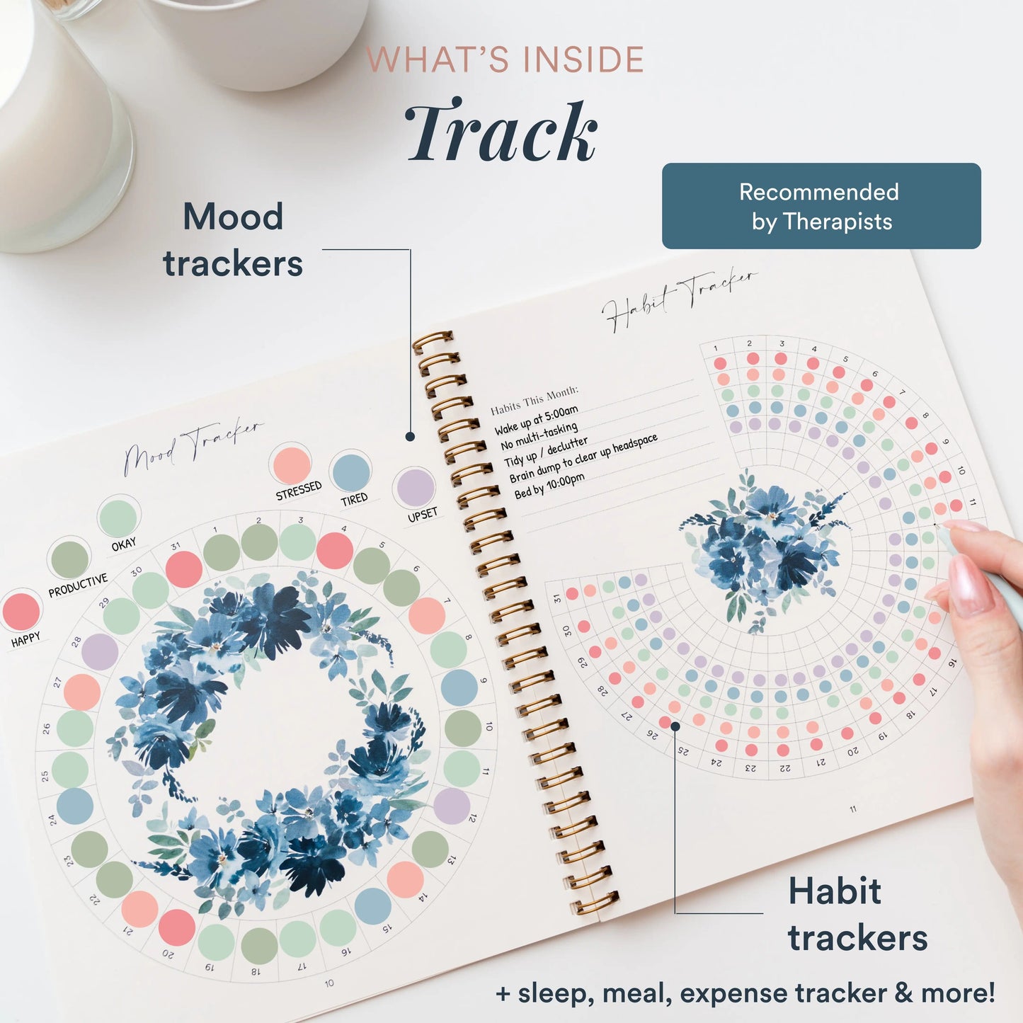 1-Month Plan