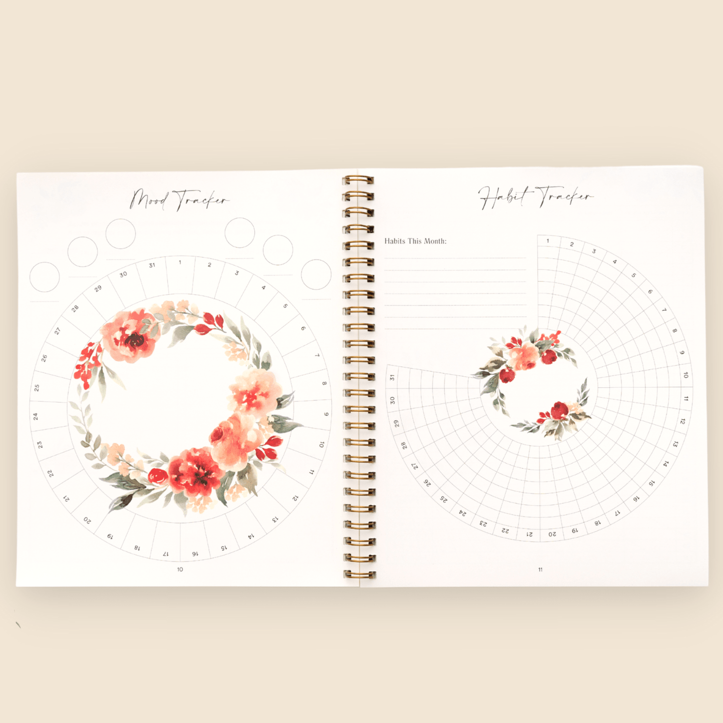 Silk + Sonder 1-Month Plan