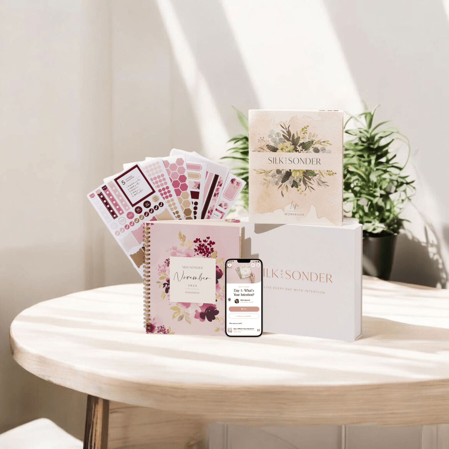 Silk + Sonder 12-Month Plan