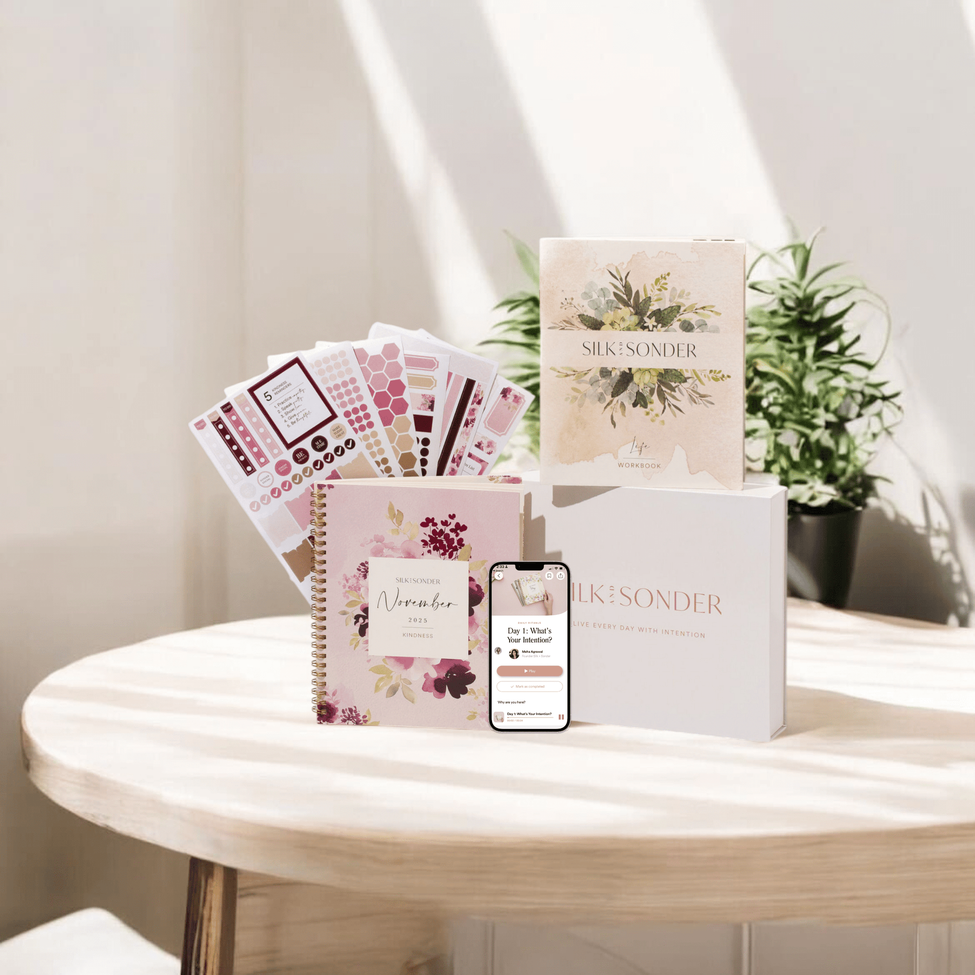 Silk + Sonder 12-Month Plan