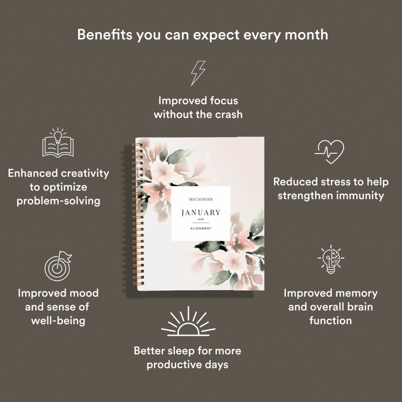 Silk + Sonder 12-Month Plan