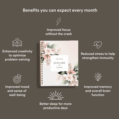 Silk + Sonder 12-Month Plan