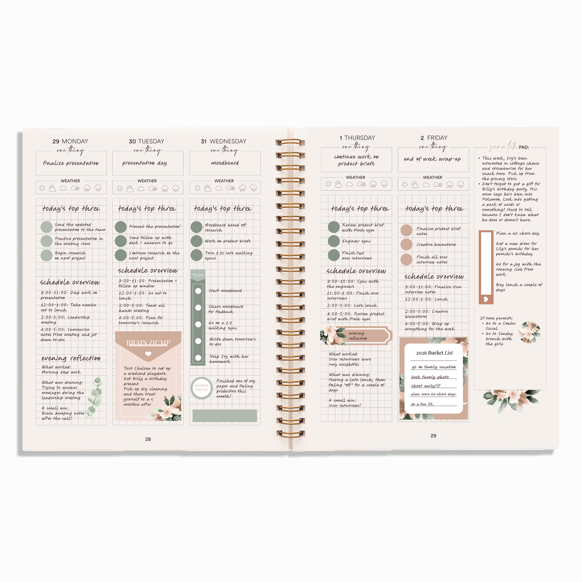 Silk + Sonder 12-Month Plan