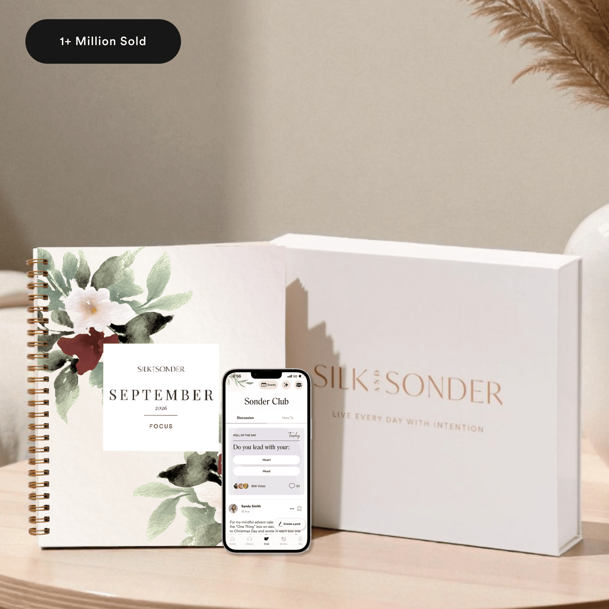Silk + Sonder 12-Month Plan