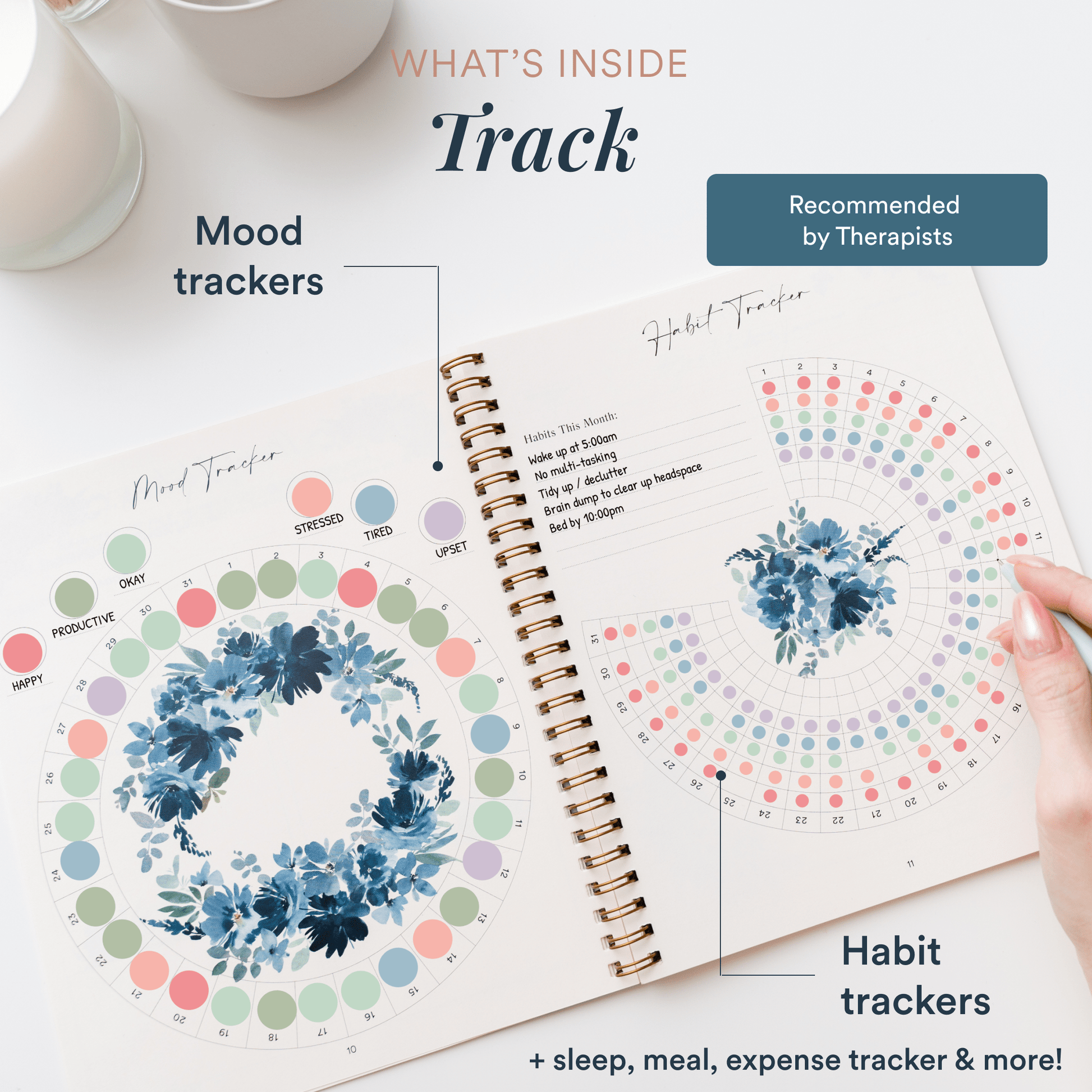 Silk + Sonder 12-Month Plan