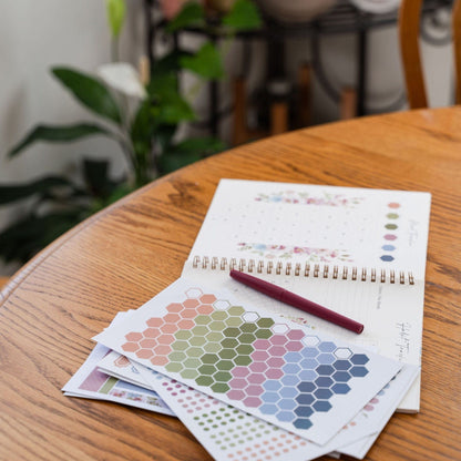 Silk + Sonder 12-Month Plan