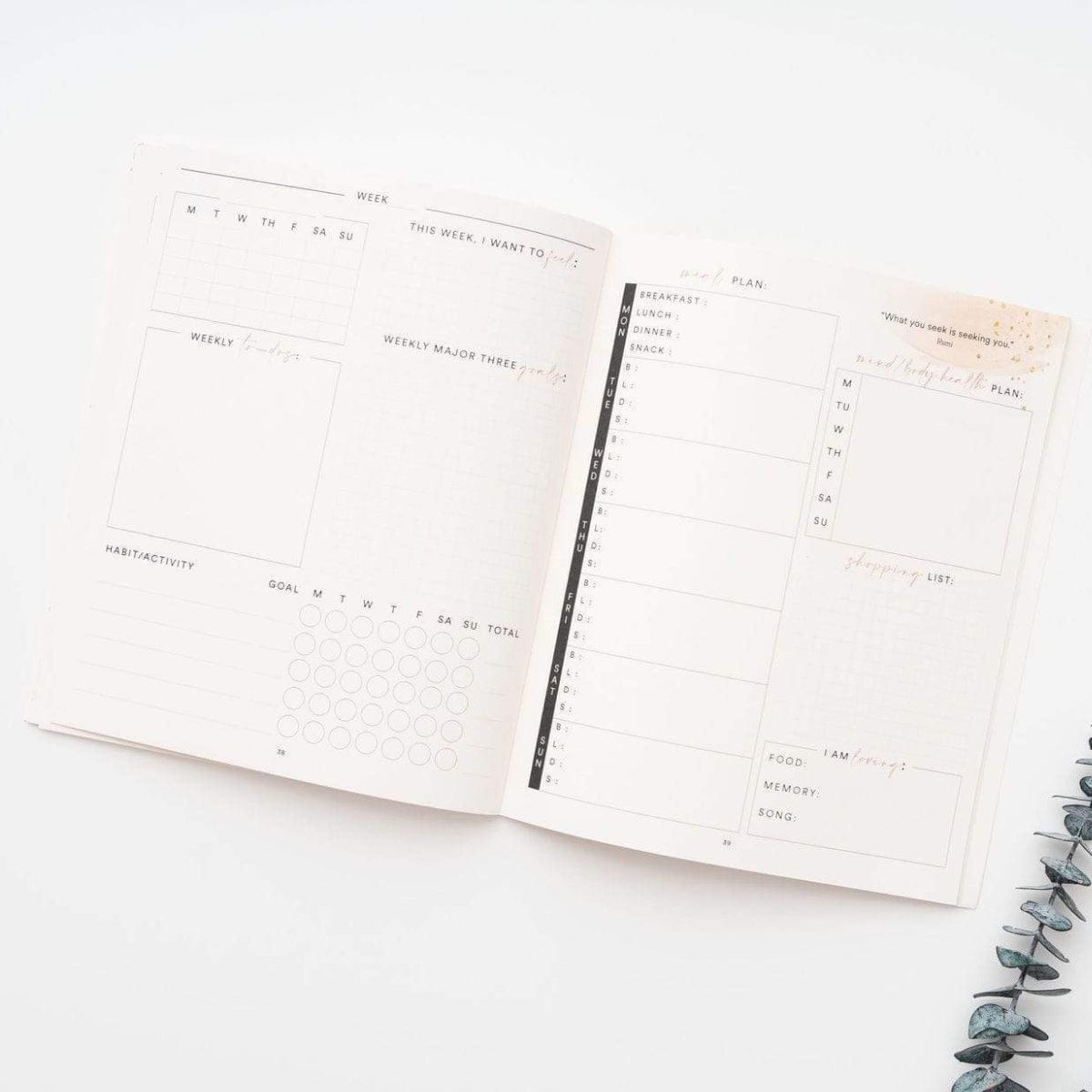 Silk + Sonder Copy of Dateless Self Care Planner