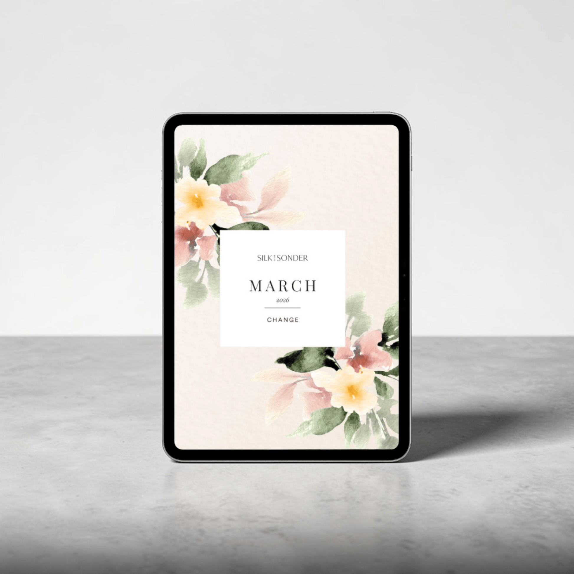 Silk + Sonder March: Digital Monthly Journal