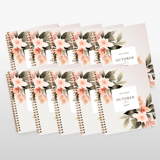 Silk + Sonder Monthly Self-Care Journals  : 10-Pack