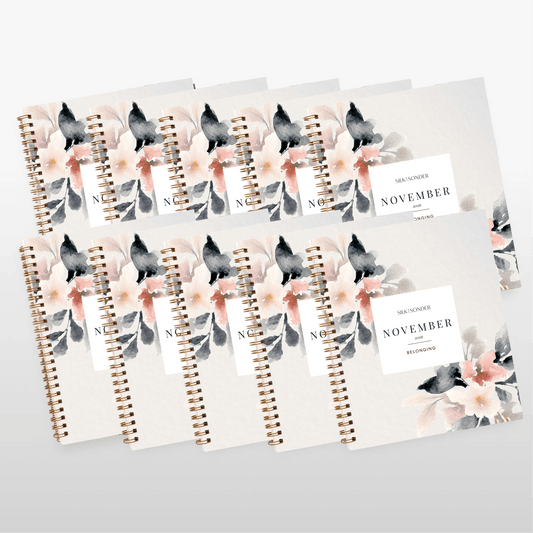 Silk + Sonder Monthly Self-Care Journals  : 10-Pack