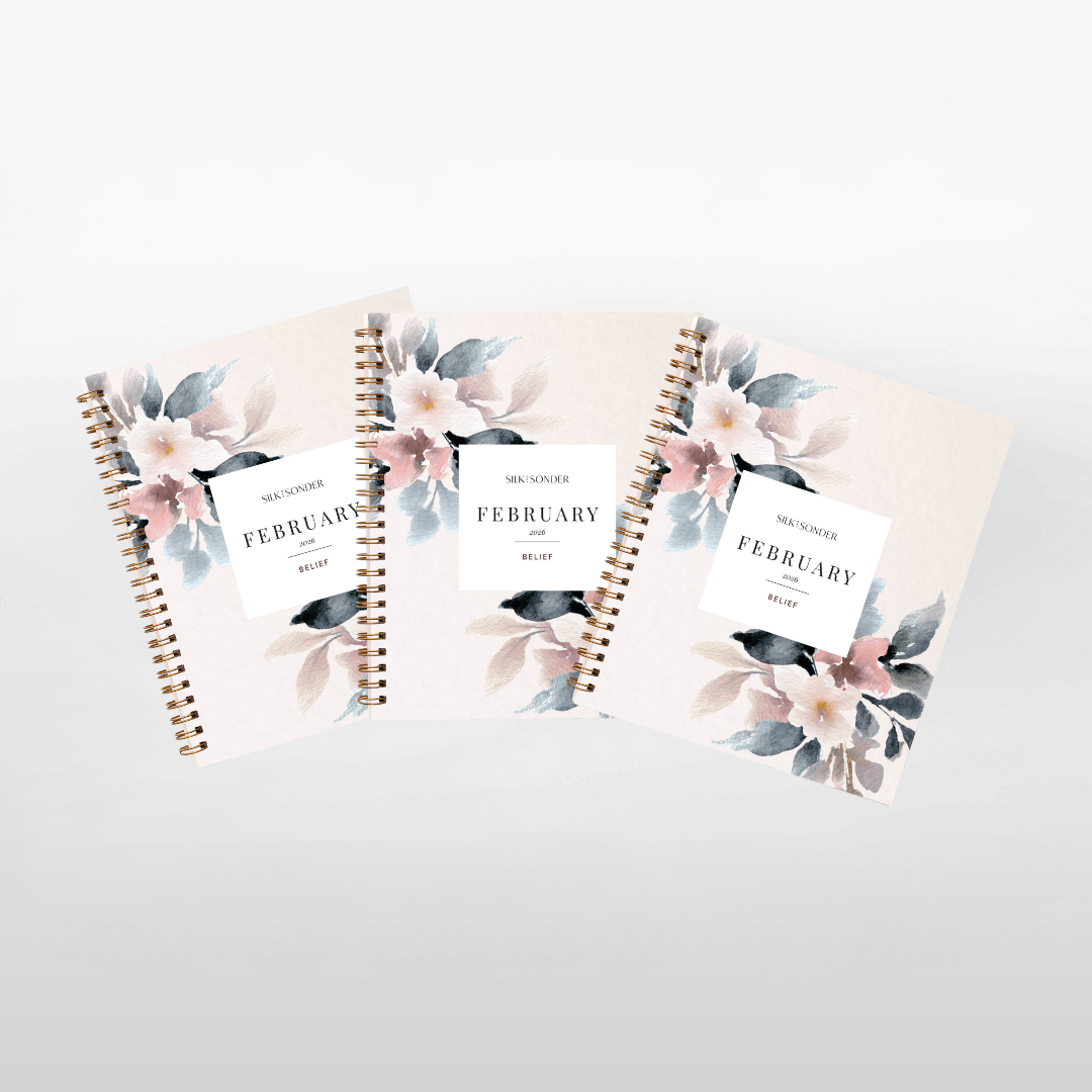 Silk + Sonder Monthly Self-Care Journals  : 3-Pack