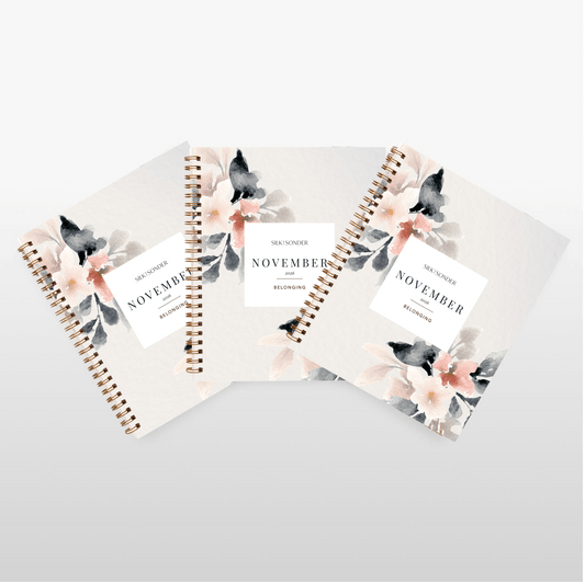 Silk + Sonder Monthly Self-Care Journals  : 3-Pack