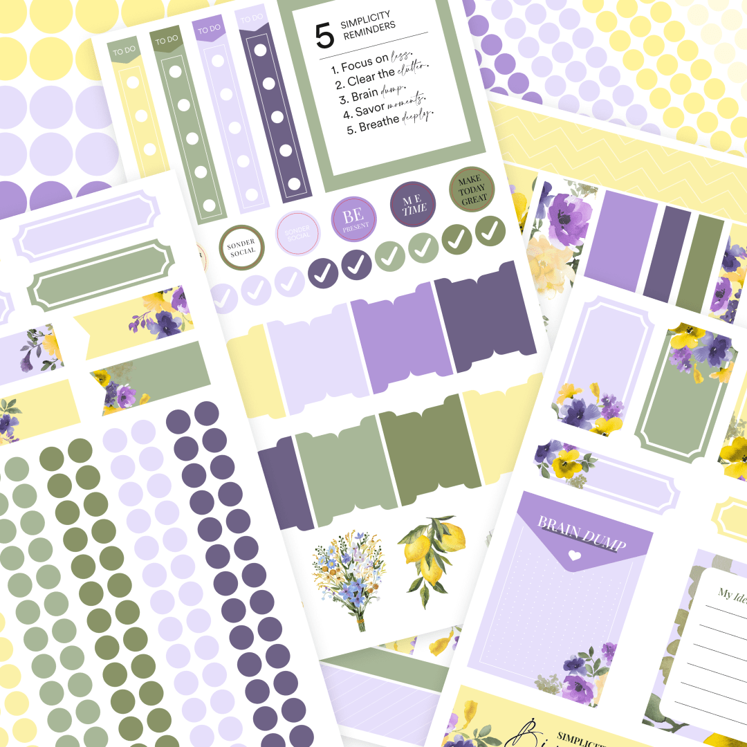Silk + Sonder Monthly Sticker Pack