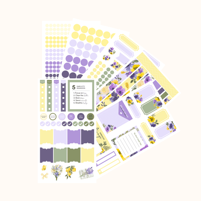 Silk + Sonder Monthly Sticker Pack