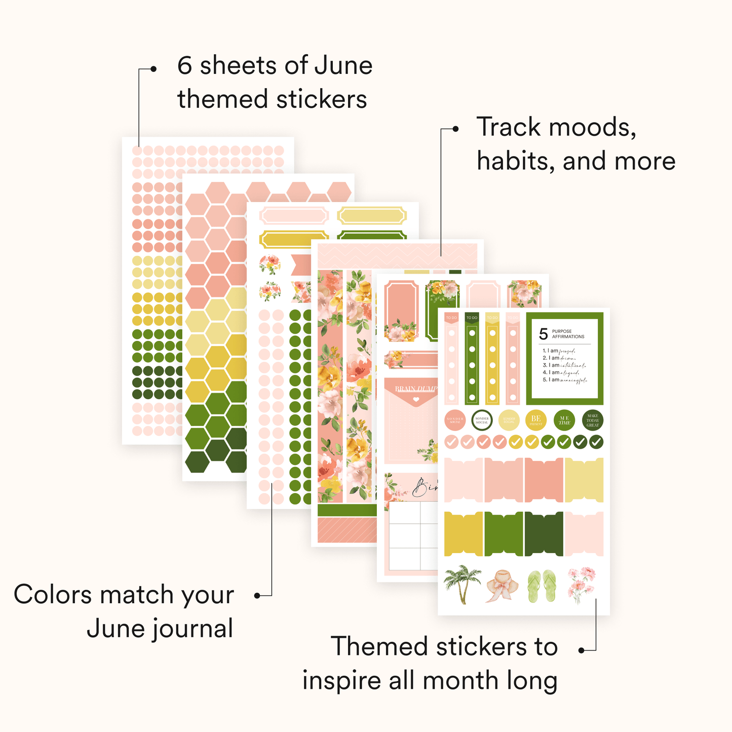 Silk + Sonder Monthly Sticker Pack