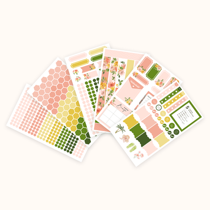 Silk + Sonder Monthly Sticker Pack
