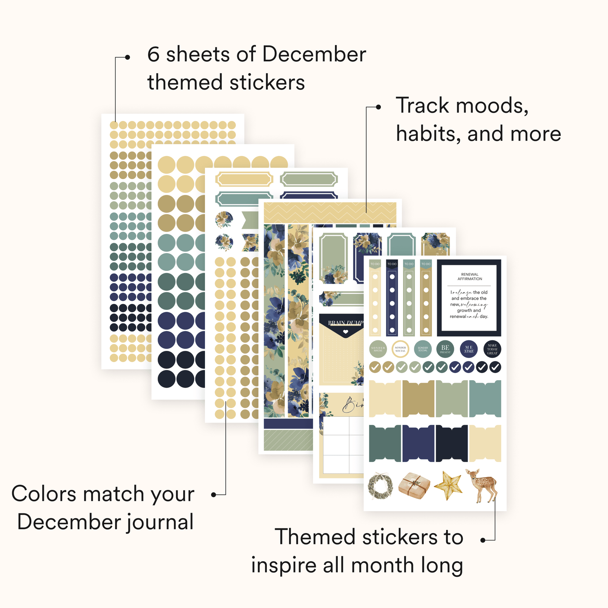 Silk + Sonder Monthly Sticker Pack