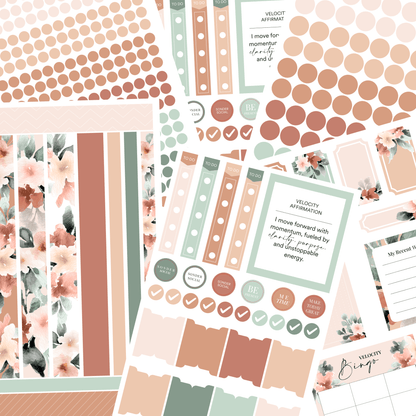 Silk + Sonder Monthly Sticker Pack