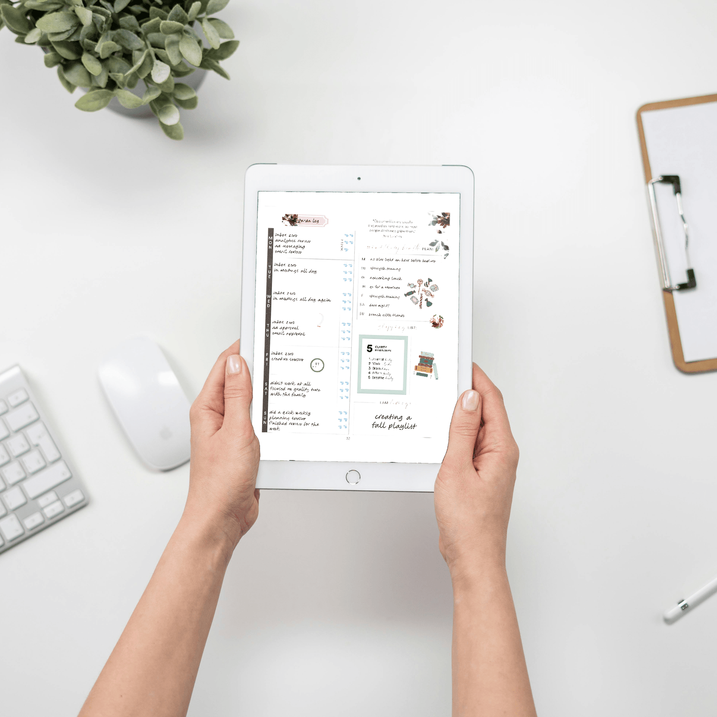 Silk + Sonder Silk + Sonder Membership (Digital Only)