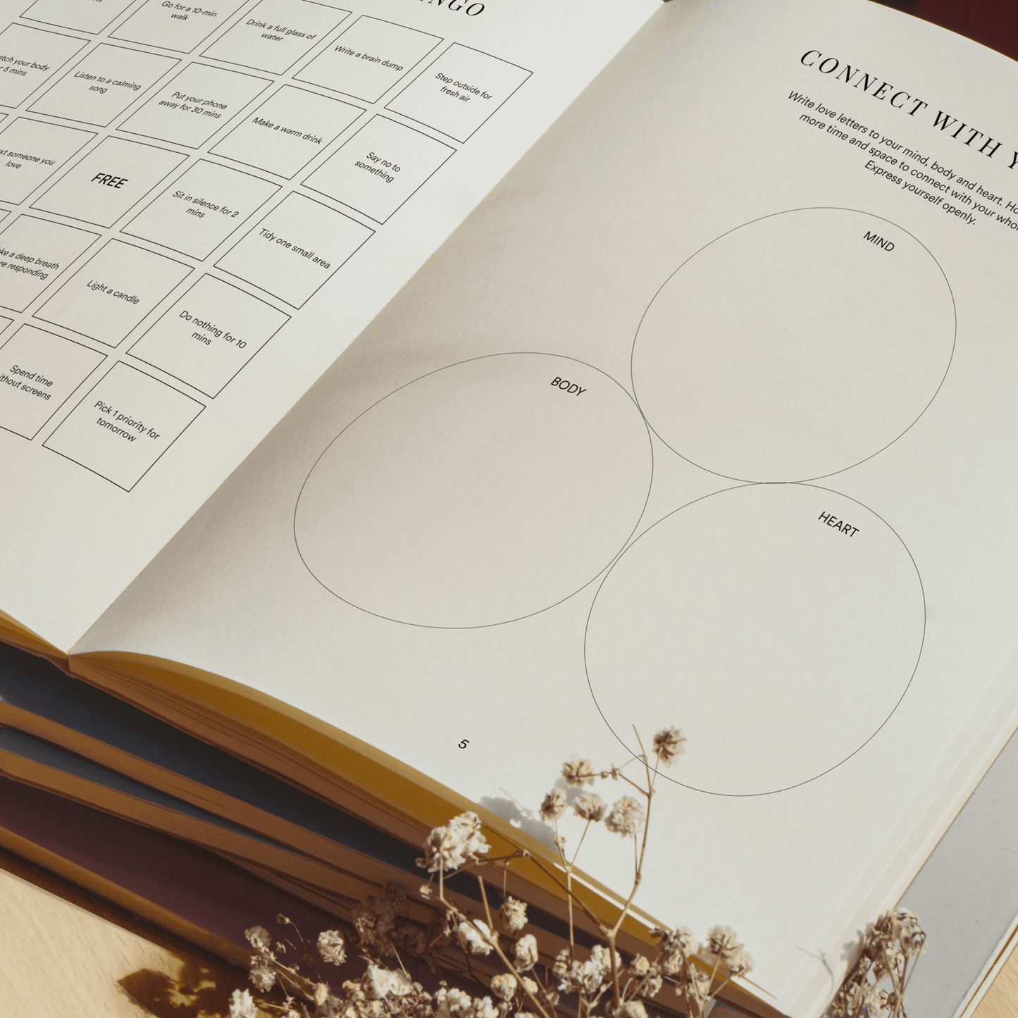 Silk + Sonder Stress Relief Toolkit